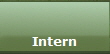 Intern