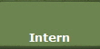 Intern